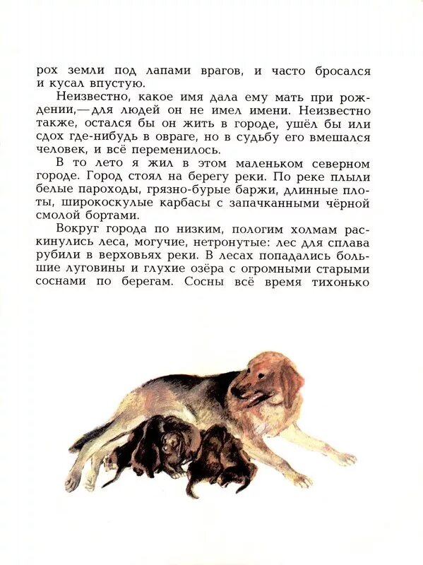 Жил у меня гончий щенок задор. Пес Арктур гончий пес. Описание Арктура из рассказа Арктур гончий пес. Рассказ Арктур гончий пес. Казаков Арктур-гончий пес краткое содержание.