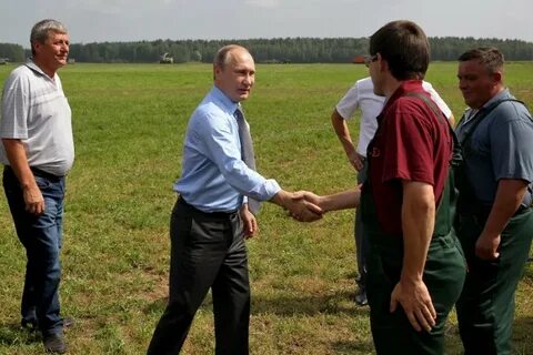 Дмитрова гора