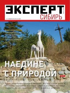 Книга эксперт