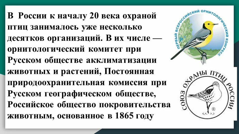 Всемирный день птиц для детей. 1 Апреля день птиц. Апрель день птиц. Международный день птиц о празднике для детей.