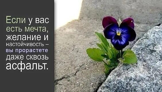 Было бы желание и жизнь