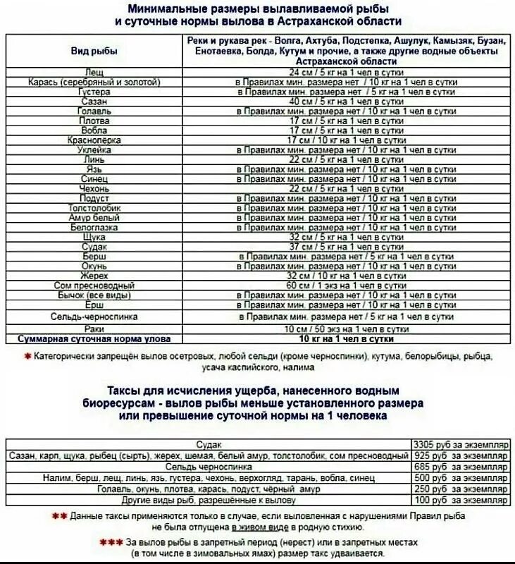 Норма вылова рыбы в Астраханской области. Нормы вылова рыбы в Астраханской области в 2022 году. Нормы вылова рыбы в Астраханской области в 2022 году таблица. Размеры рыбы разрешенной к вылову в Астраханской области. Какую рыбу можно ловить по новому закону