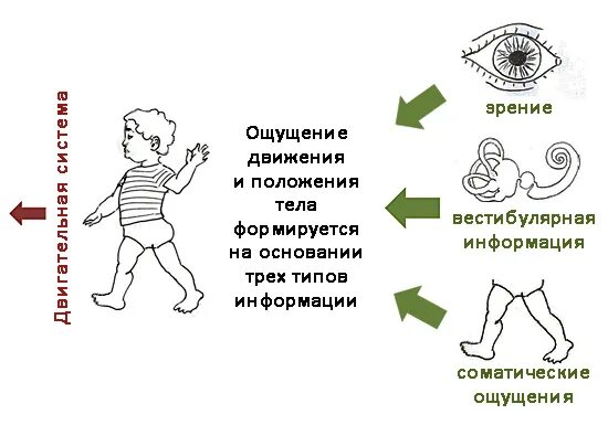ощущение движения. передача движения в композиции. ощущения положения и движения органов тела:. ощущение движения. иллюзии ощущений.