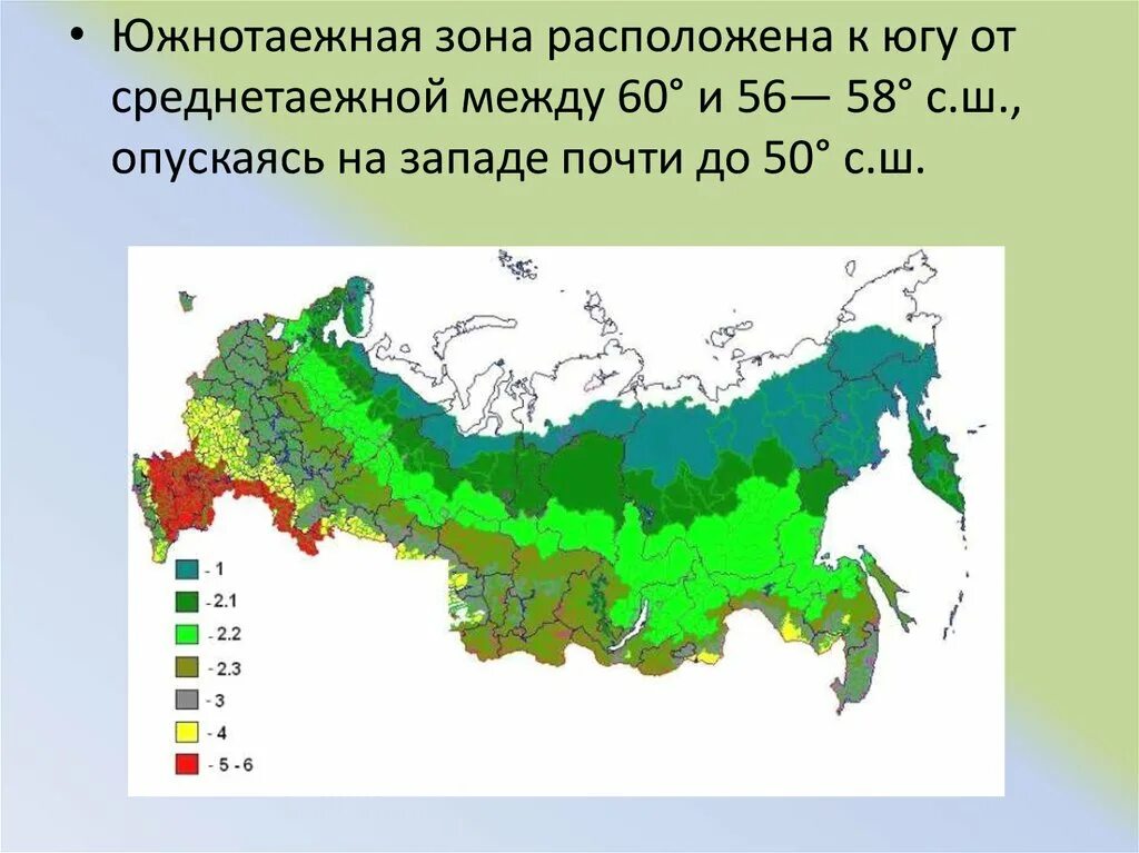 Какую территорию россии занимает тайга. Географическое положение тайги в России на карте. Южно-Таежная зона России. Карта почв тайги. Зона тайги на карте России.