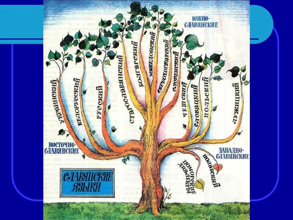 Родословное Древо славянских языков. Генеалогическое Древо праславянских языков. Языковое Древо славянских языков. Славянские языки Древо.