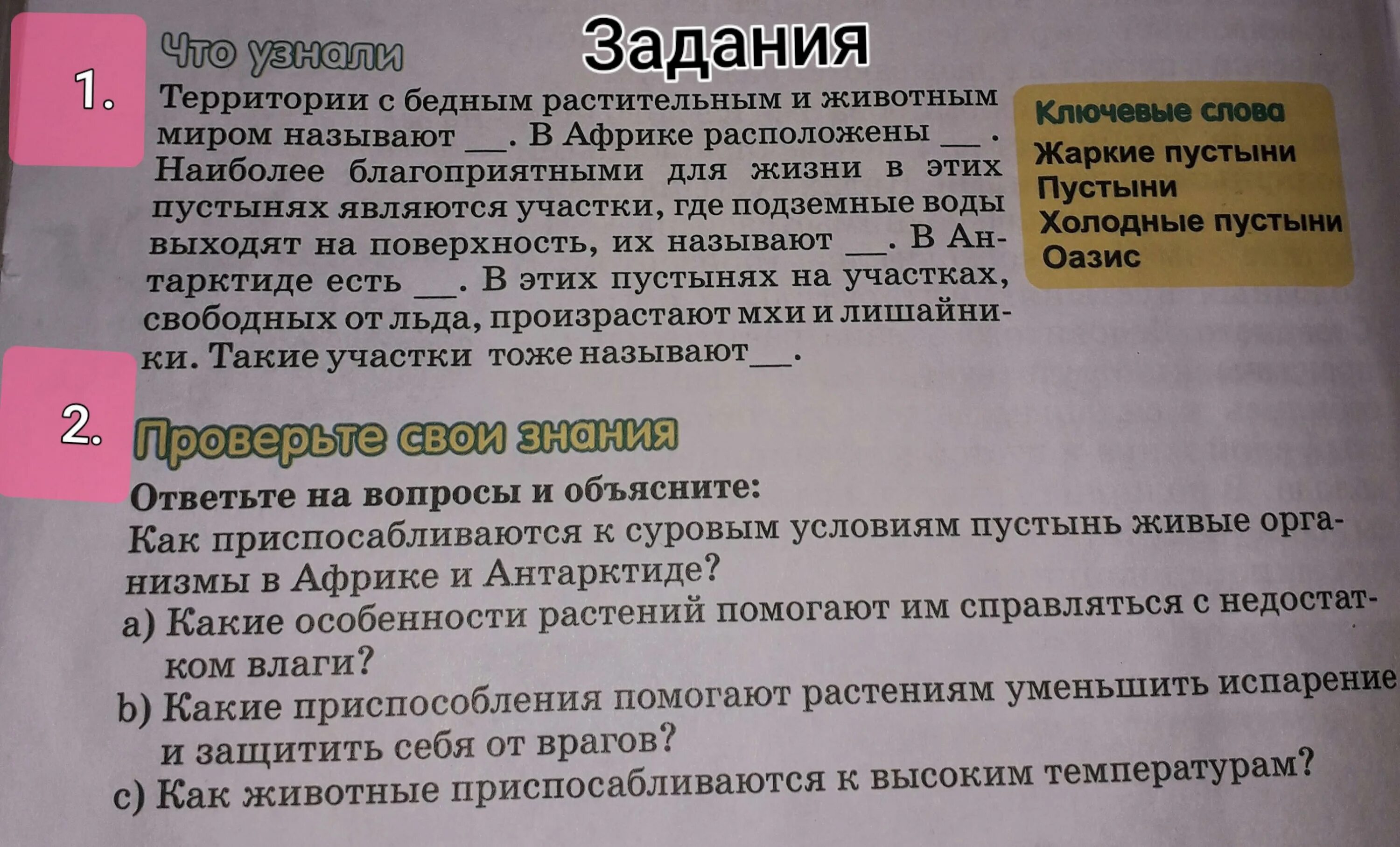 География 6 класс параграф 21 вопросы. Вопросы к параграфу. Параграф 6 ответить на вопросы. География 6 класс 37 параграф ответ на вопрос 6. География 6 класс 1 параграф.