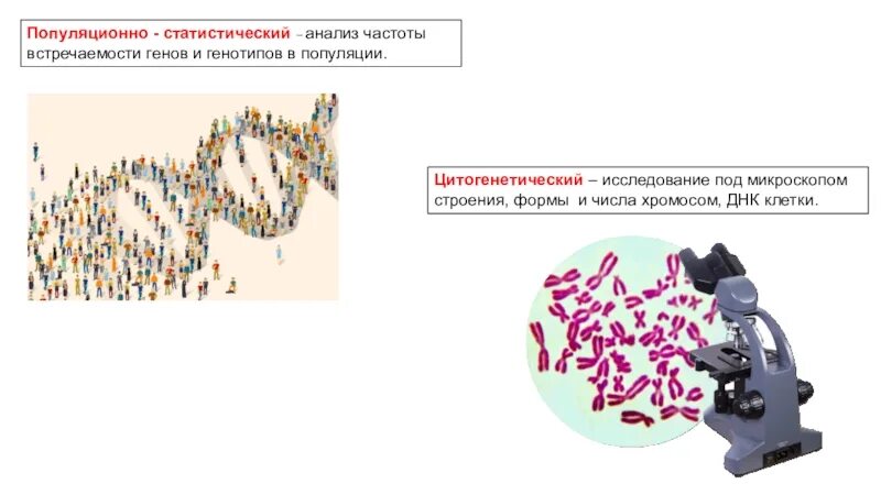 Популяционно-статистический метод. Методы исследования в генетике популяционный. Популяционно статистический метод генетики. Методы генетических исследований статистические.