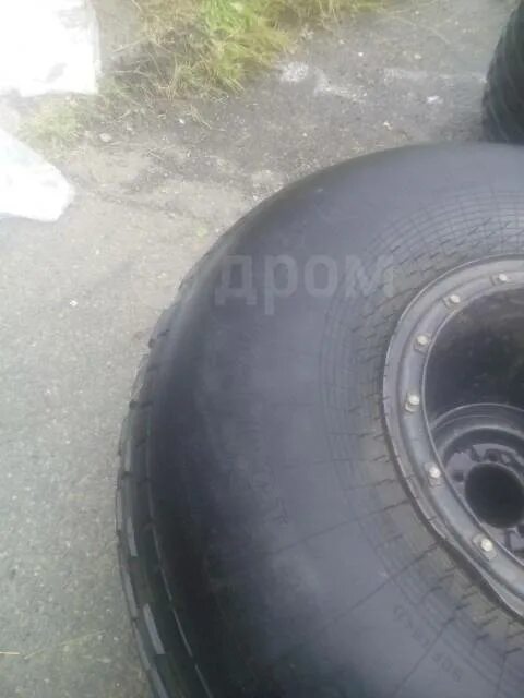 Шины трэкол 1300х600-533. 1300 600 533 белшина. 1300 600 533 трэкол. 1300 600 533 белшина. Колеса трэкол 1300*600.