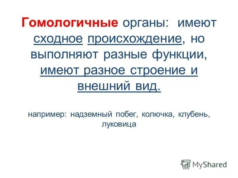 Аналогичный. Сходное происхождение разные функции. Сходное происхождение разные функции. Гомология (биология). Гомологичные органы.