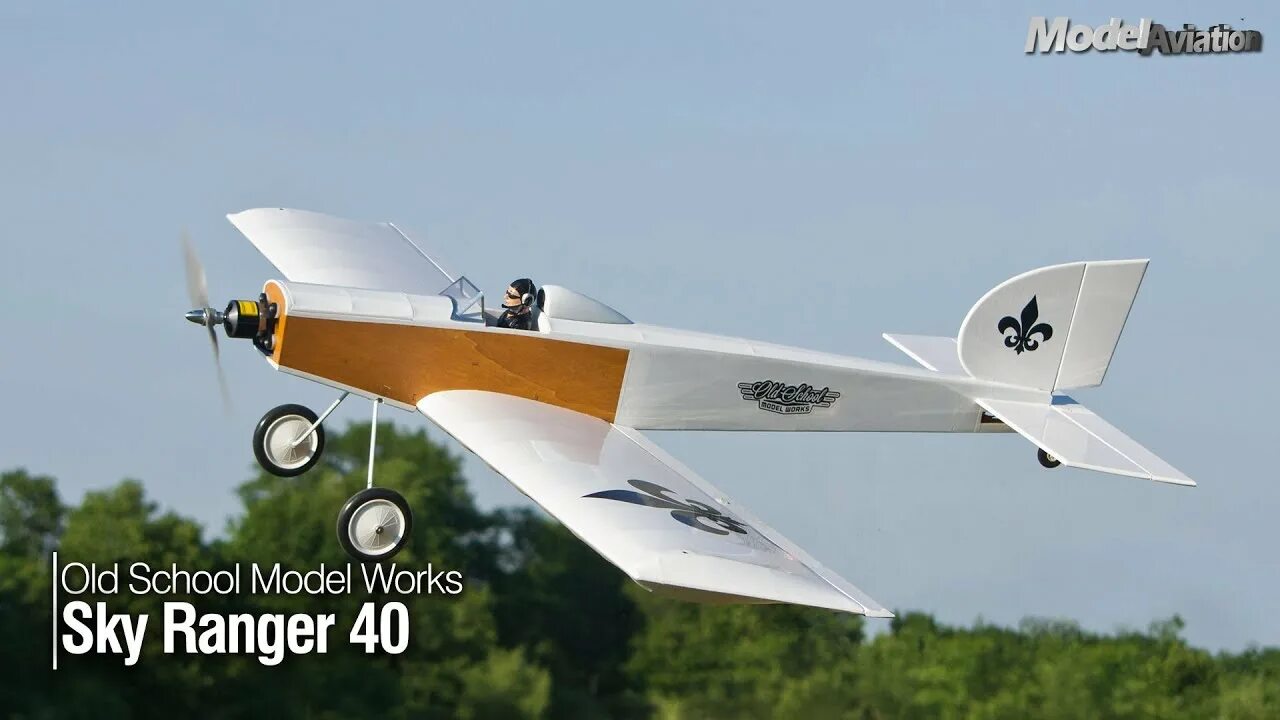 Sky ranger. Sky Ranger 2-х местный. Скай рейнджер самолет. Ranger 1500 самолет. Самолет Скайрейнджер Сверхлегкий.