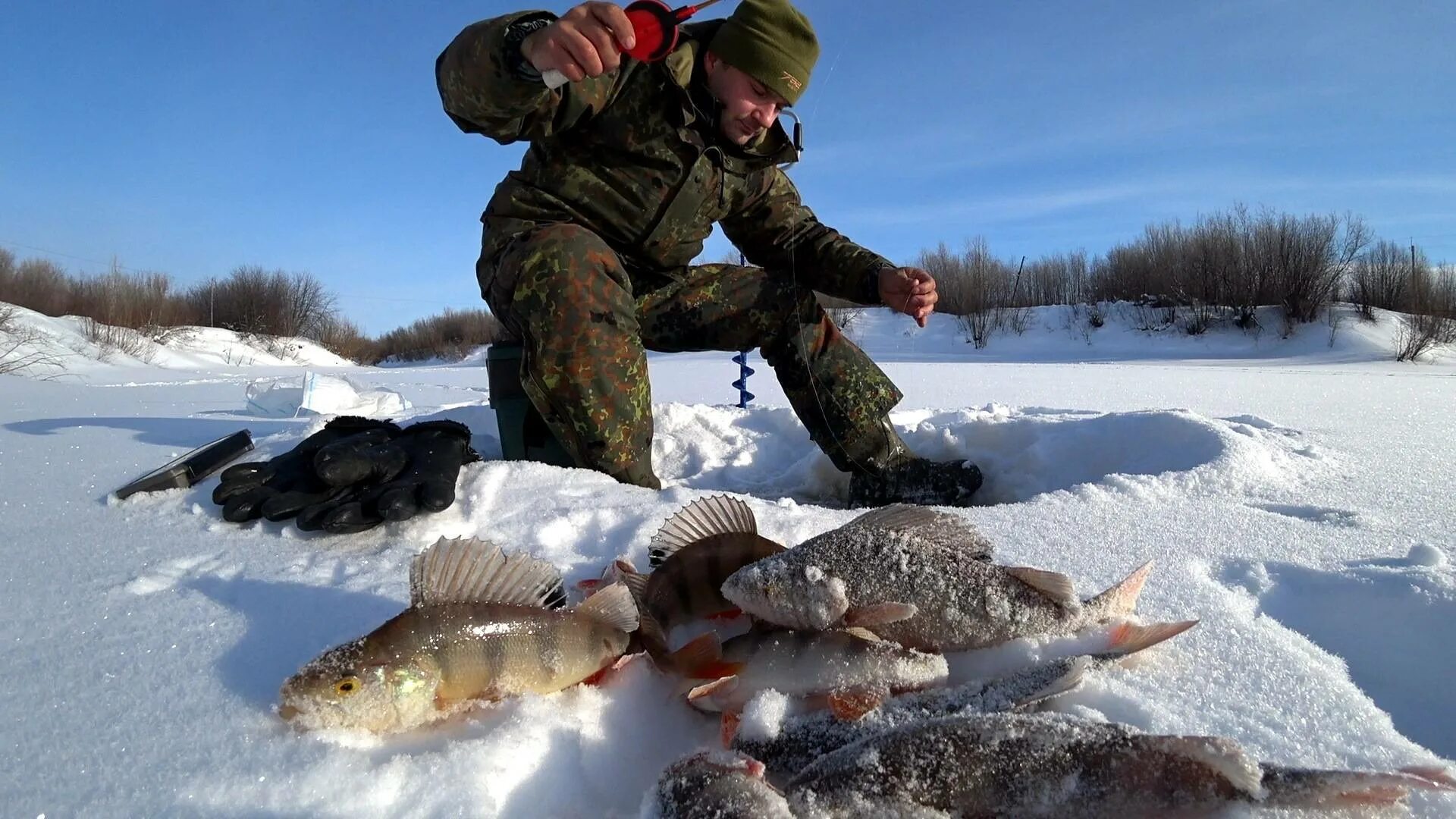 Зимняя ловля видео. Зимняя рыбалка. Зимняя рыбалка в тайге. Зимняя рыбалка в Сибири. Зимняя рыбалка в Коми.