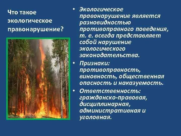 Экологическими правонарушениями являются. Экологические правонарушения. Экологические нарушения примеры. Виды экологических правонарушений. Общественная опасность экологических преступлений.