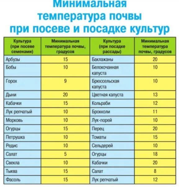 При какой температуре сажать морковь под зиму