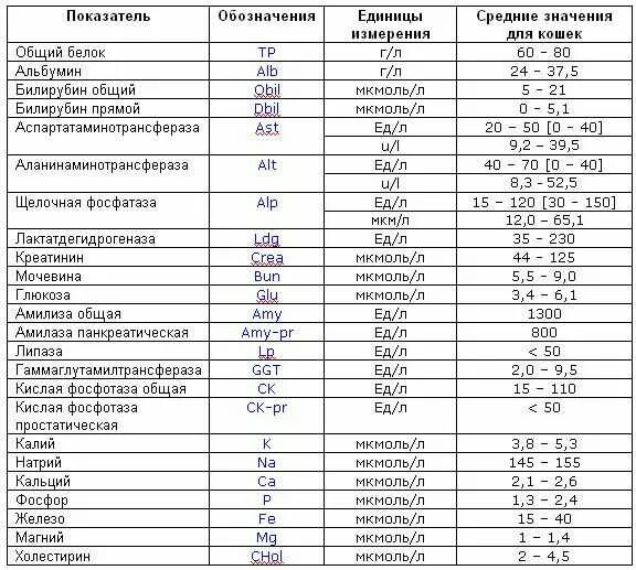 Биохимия крови расшифровка. Биохимические показатели крови схема. Биохимия анализ крови норма. Обозначения биохимических показателей крови. Концентрация общего белка в крови