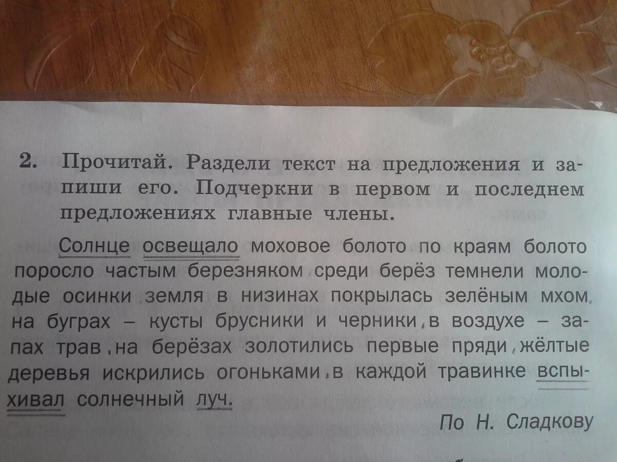 Номер разбить слова. Раздели текст на предложения. Поделить текст на предложения. Как разделать текст на предложения. Текст и предложение.