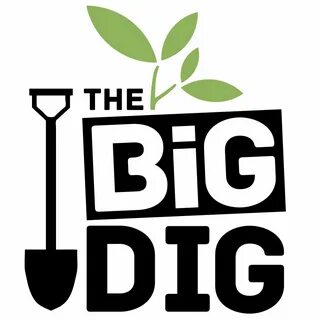 Big dig