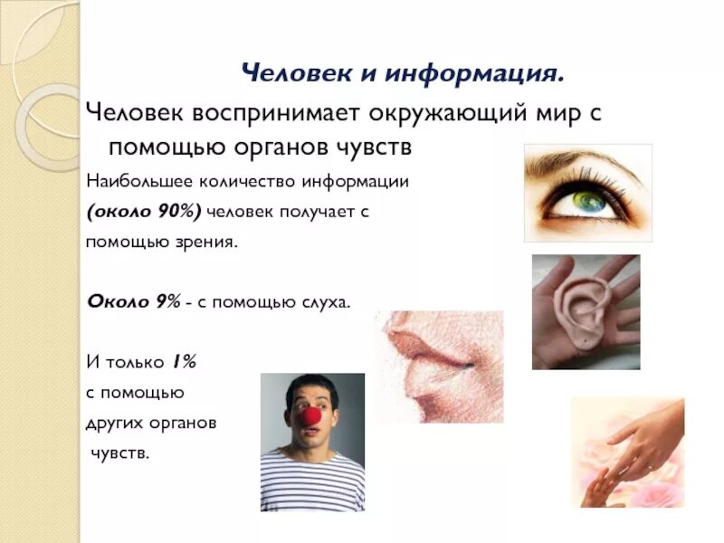 Какие органы чувств воспринимают информацию. Человек воспринимает окружающий мир. человек воспринимает информацию с помощью органов. человек воспринимает информацию с помощью органов чувств. человек воспринимает информацию с помощью _____________ информации.
