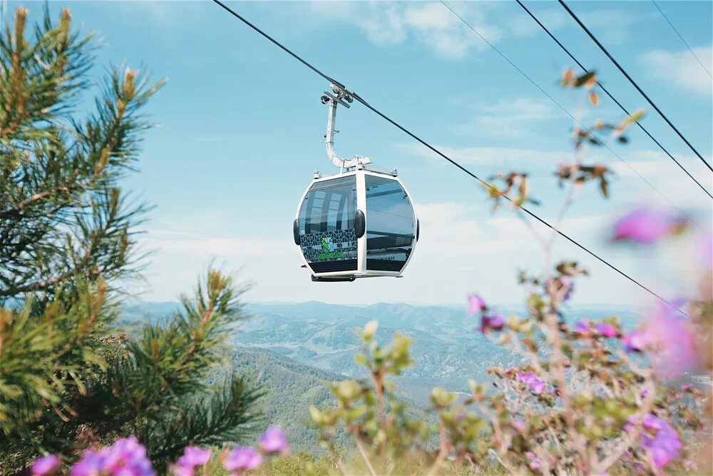 Парк отель манжерок. Манжерок базы отдыха горный алтай. Манжерок 5. Туристский комплекс манжерок. Манжерок 5.