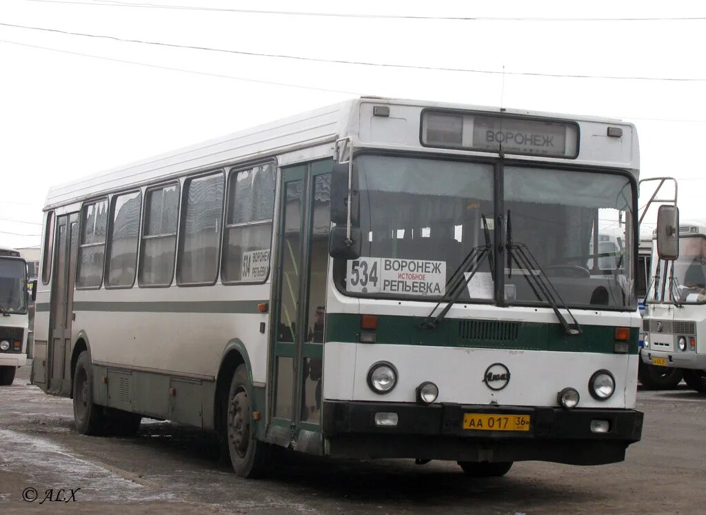 LIAZ 5256.30. ЛИАЗ 5256 30-01. ЛИАЗ 5256.30-01 Воронеж. ЛИАЗ 5256-30 Воронеж.