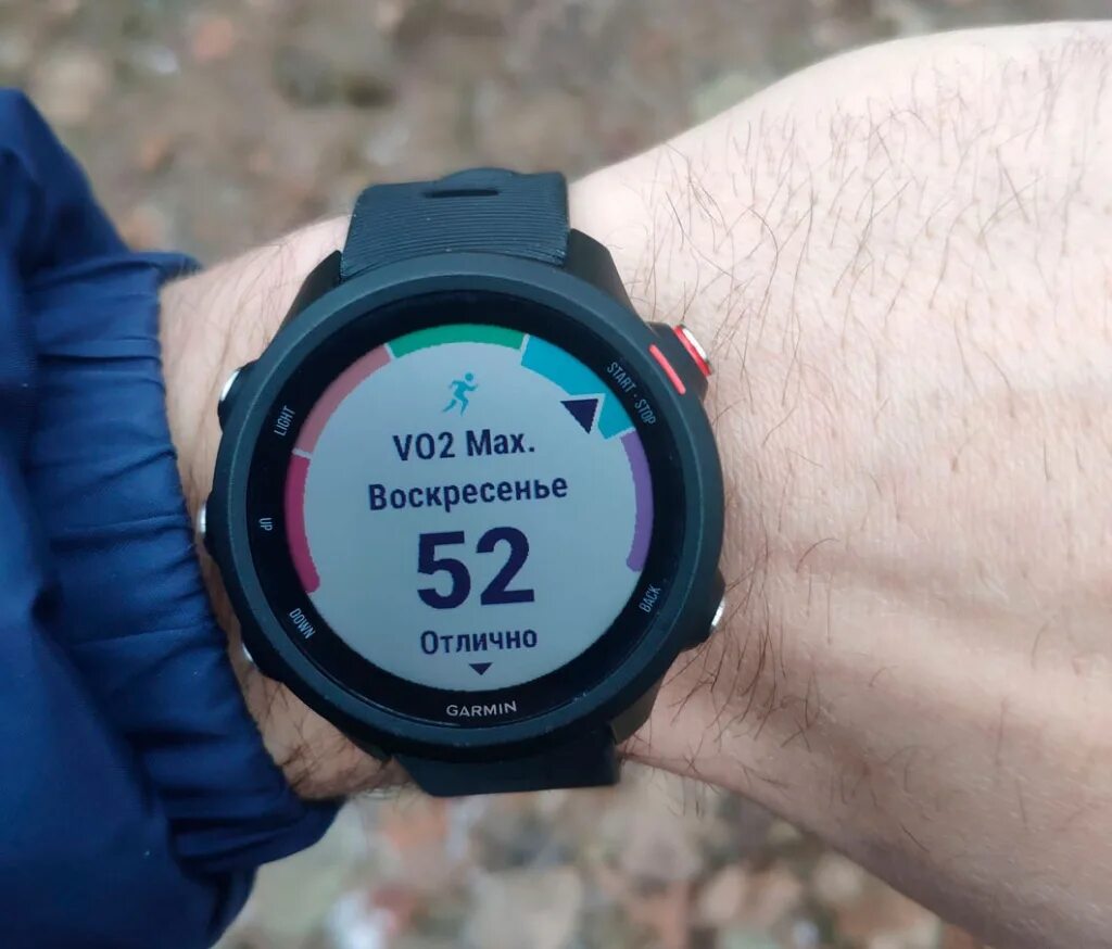 245 music. 245 music. Гармин часы forerunner 245. Garmin forerunner 255 music. Garmin forerunner 245 music.