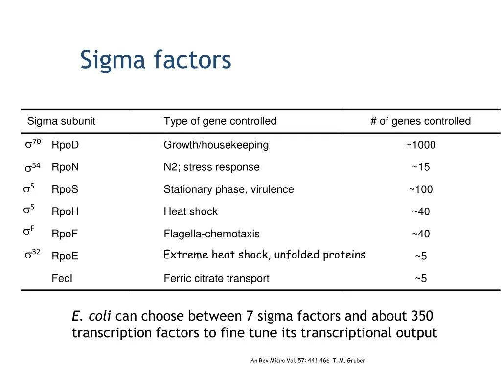 Сигма фактор. Сменные Сигма факторы e.coli. Сигма фактор RPOS. Сигма фактор у бактерий.