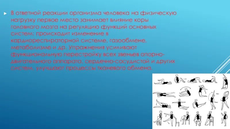 Реакция дыхательной системы на физические нагрузки. Ответная реакция на физическая нагрузка. Реакция системы дыхания на физическую нагрузку. Реакция дыхательной системы на физические упражнения. Общая физическая реакция