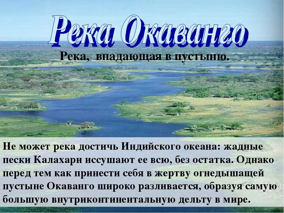 К бассейну какого океана относится река камчатка. К бассейну какого океана относится река камчатка