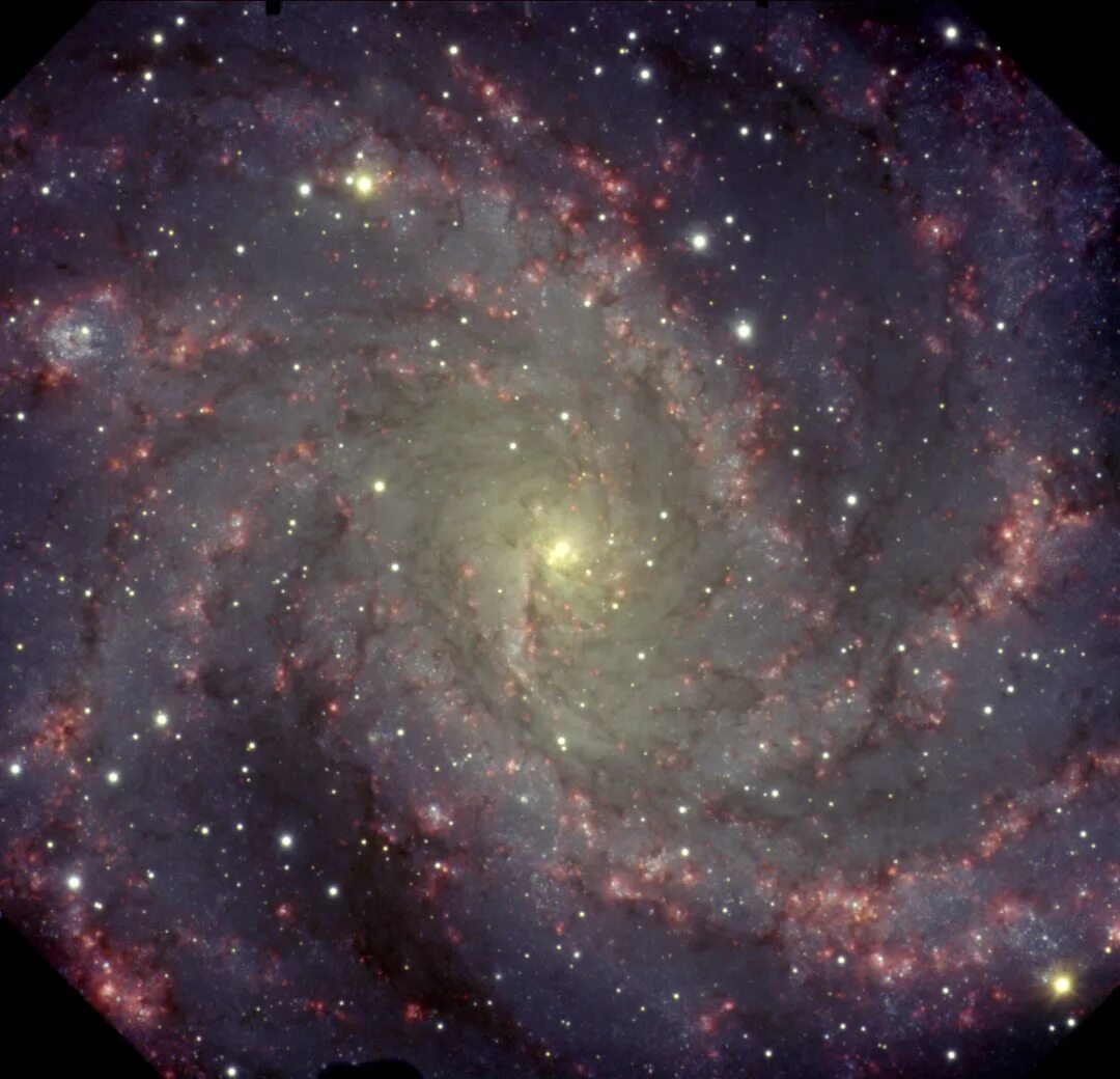 Галактика фейерверк NGC 6946. NGC 6946 или Галактика фейерверк. Галактика фейерверк Созвездие лебедь. Галактика загородный