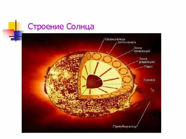 Какого строение солнца. Строение солнца рисунок. строение солнце радиоактивная зона. строение солнечной темы. строение солнца черно белое.