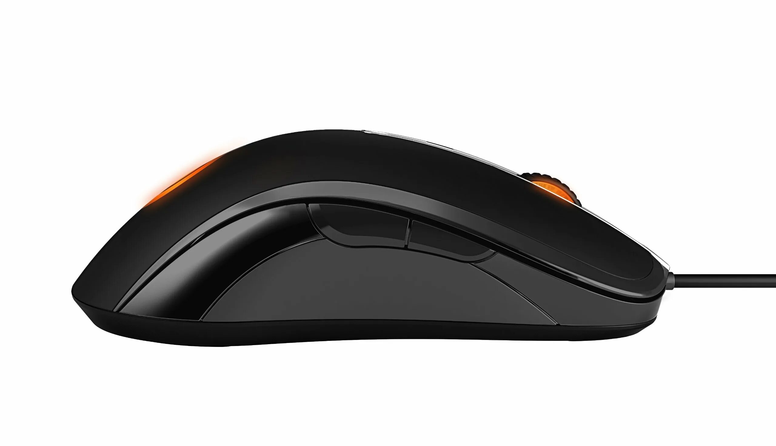 Digital mouse