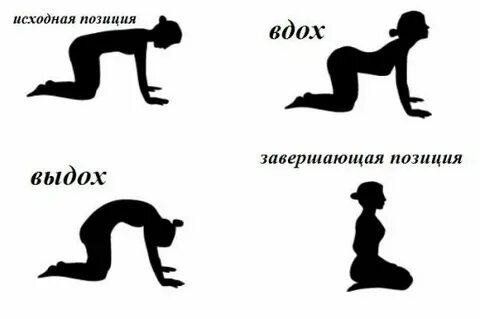 Правильная позиция жизни