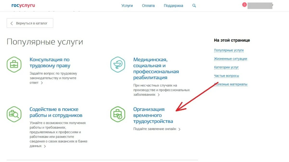 Биржа труда через госуслуги. Центр занятости через госуслуги. Встать на биржу через госуслуги. Встать в центр занятости через госуслуги. Можно через госуслуги сняться с учета