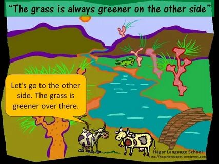 Grass is greener