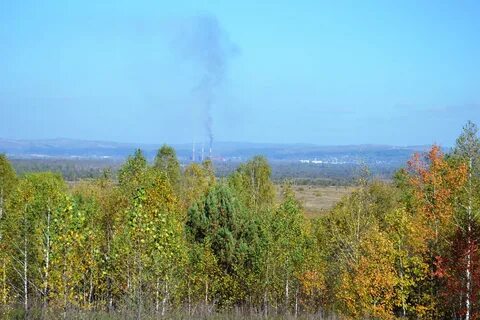 Погода в пуштулиме