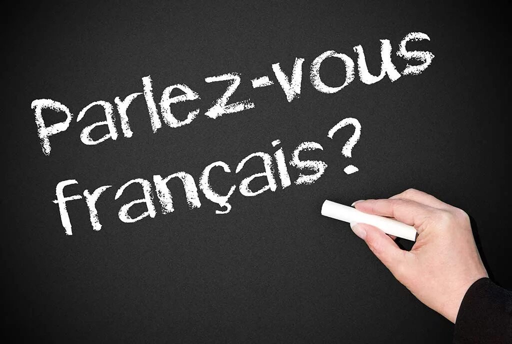 Parlez vous français. Parlez-vous français обложка книги. Do you speak french language. Интересные факты о французском языке. Parlez vous français.
