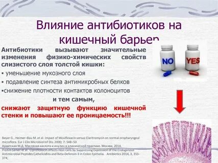 Народные средства после приема антибиотиков