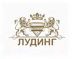 Лудинг. Лудинг красноярск. Лудинг нижний. Лудинг директор. Лудинг логотип.