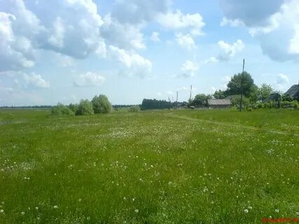 Поляна липецкая область