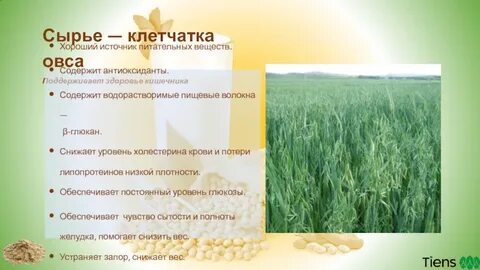 Вред овса