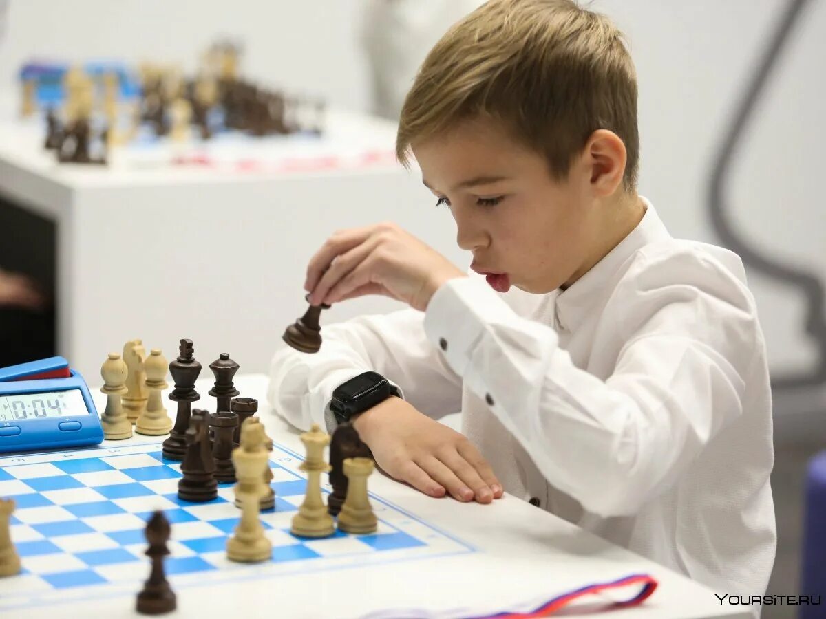 Шахматная школа. Игорь трифауцан шахматы. Охохонин мирон шахматы. Даниил вайгельман шахматы. Павел стельмашенко шахматы.