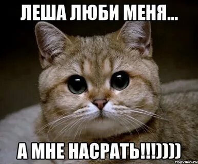 Люблю леху