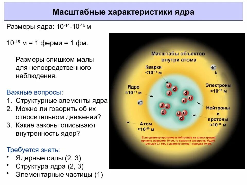 Ядро атома. Размер ядра. Строение ядра ядерная физика. Размер атомного ядра. Ядро атома ксенона 140