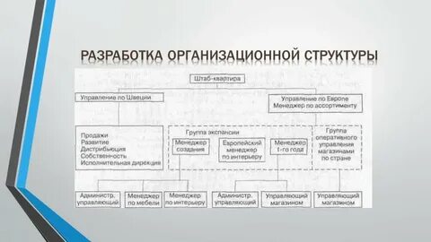 Исследование организационной структуры организации