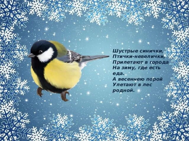 Стишки про синиц. Стих про синицу. Стихотворение про синичку для детей. Загадка про синицу для детей. Стихи про синичку для дошкольников.