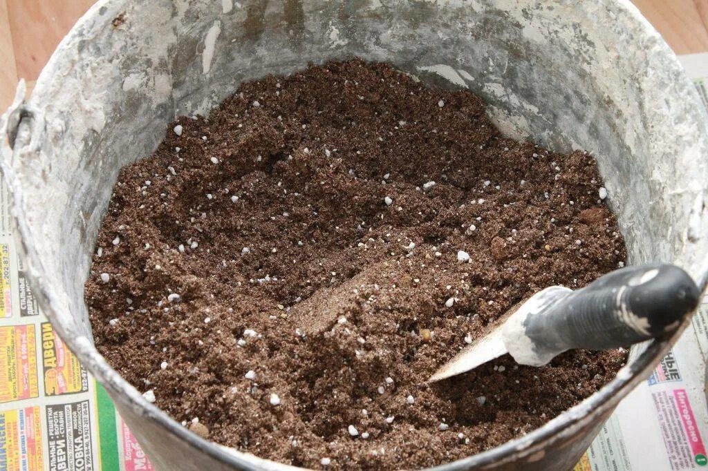 Какая почва флоксам. Почвосмеси для рассады. Грунт для посадки. Почвенная смесь для рассады. Подготовка грунта для рассады.