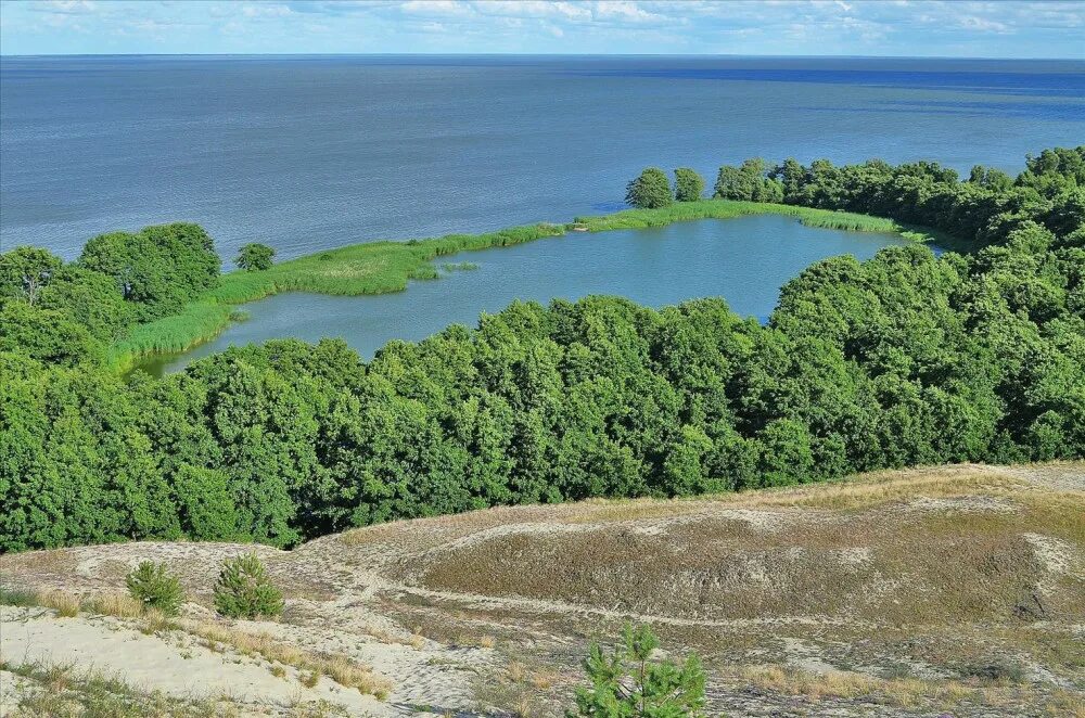 Погода заповедное калининградская область. Куршская коса Калининград. Куршская коса (национальный парк, Россия). Куршская коса (национальный парк, Литва). Парк Куршская коса Калининград.