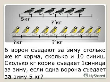 Сколько съел и сколько выйдет