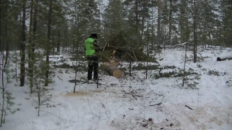 Погода озерно кузнецово угловское алтайского края. Озерно Кузнецовский лесхоз Угловский район Алтайский край. Озёрно Кузнецовский лесхоз Алтайский край люди. Угловский район лесничество. Озеро Кузнецовский лесхоз.