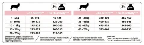 Как перевести dogs на биржу