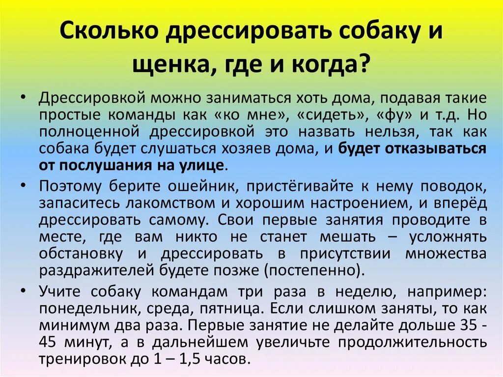 Какие команды должен знать. Команды для собак по месяцам. Первые команды для щенка. Команды которые должен знать щенок. Команда которая должна знать собака.